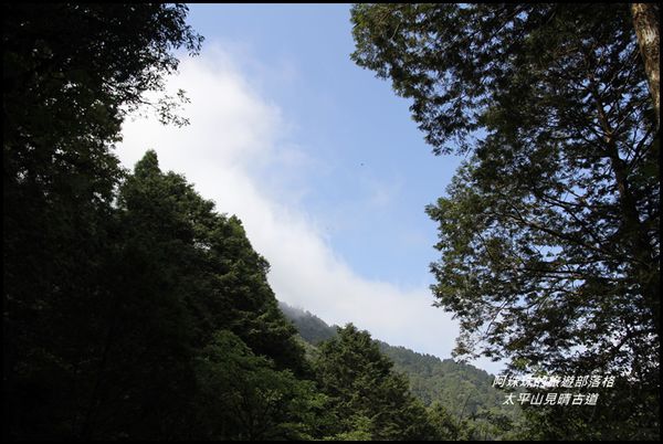 太平山見晴古道16.JPG