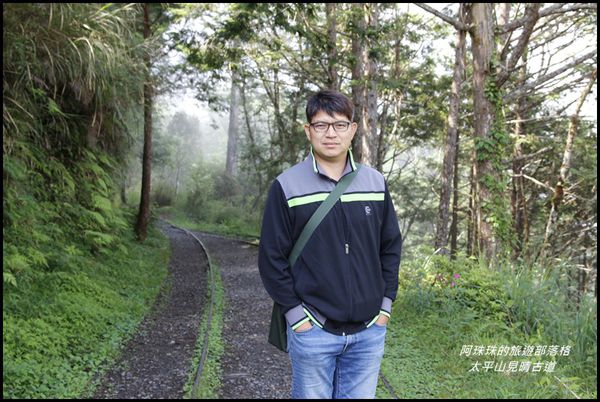 太平山見晴古道3.JPG