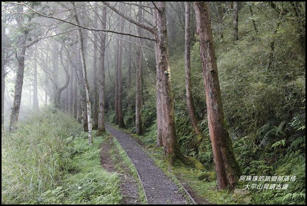 太平山見晴古道8.JPG