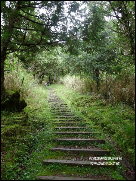 太平山望洋山步道31.JPG