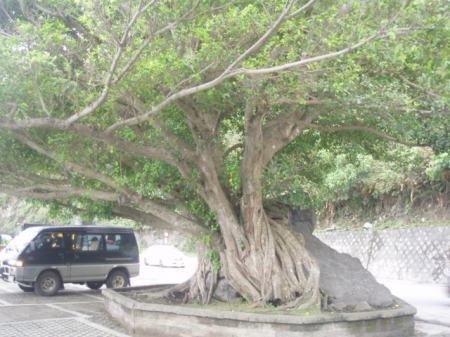 太魯閣國家公園：[台灣東海岸]美麗的湖光山色