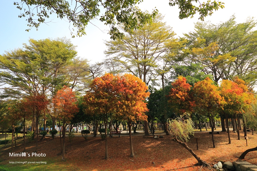 巴克禮公園10.JPG