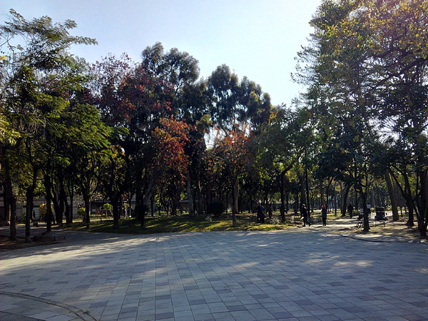 巴克禮公園:【東區】巴克禮紀念公園。有著美麗落羽松的塵囂中一隅寧靜