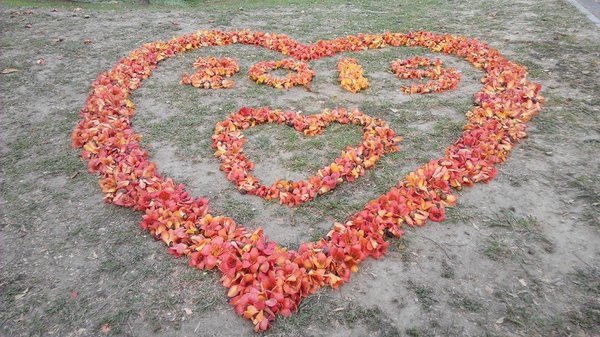 巴克禮公園:【東區】巴克禮紀念公園。有著美麗落羽松的塵囂中一隅寧靜