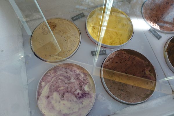 日月行館觀光國際酒店：(胖樺食記)南投縣六星級” 日月潭‧日月行館國際觀光酒店” 。貴婦下午茶佐以無敵湖光山色美景。