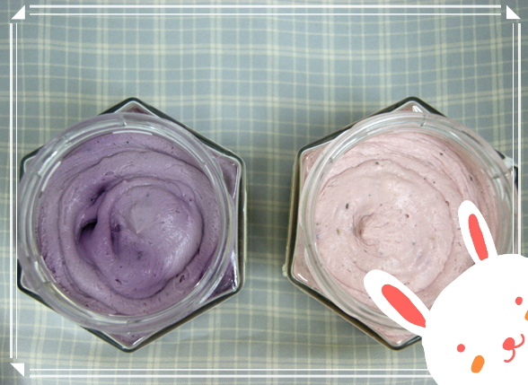 水母吃乳酪──水果乳酪抹醬