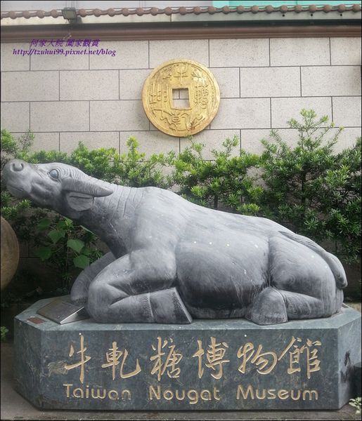 大黑松小倆口01