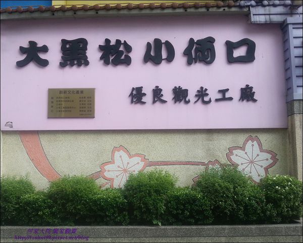 大黑松小倆口03