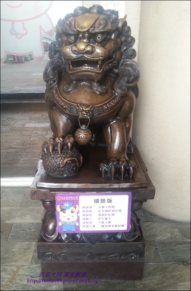 大黑松小倆口05