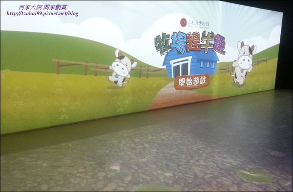 大黑松小倆口18