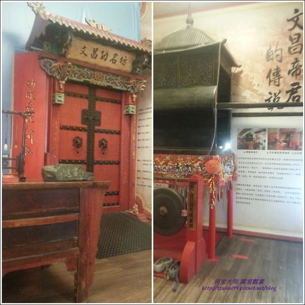 大黑松小倆口10