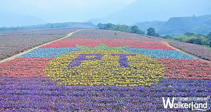 2019繽紛彩旺節 / WalkerLand窩客島整理提供 未經許可,不得轉載