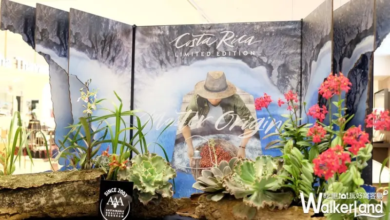 Nespresso膠囊咖啡「哥斯大黎加溫泉水洗咖啡豆」 / WalkerLand窩客島整理提供 未經許可不可轉載