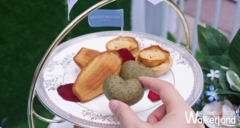 Wedgwood / WalkerLand窩客島提供 未經許可，不得轉載
