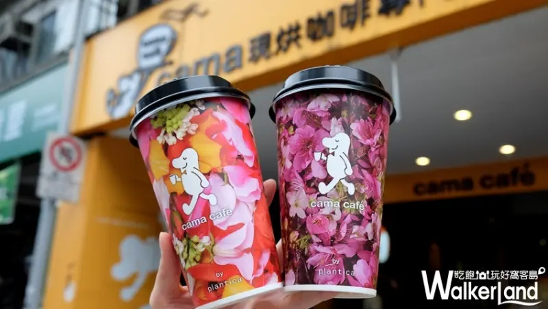 cama café 花杯/ WalkerLand窩客島整理提供 未經許可不可轉載