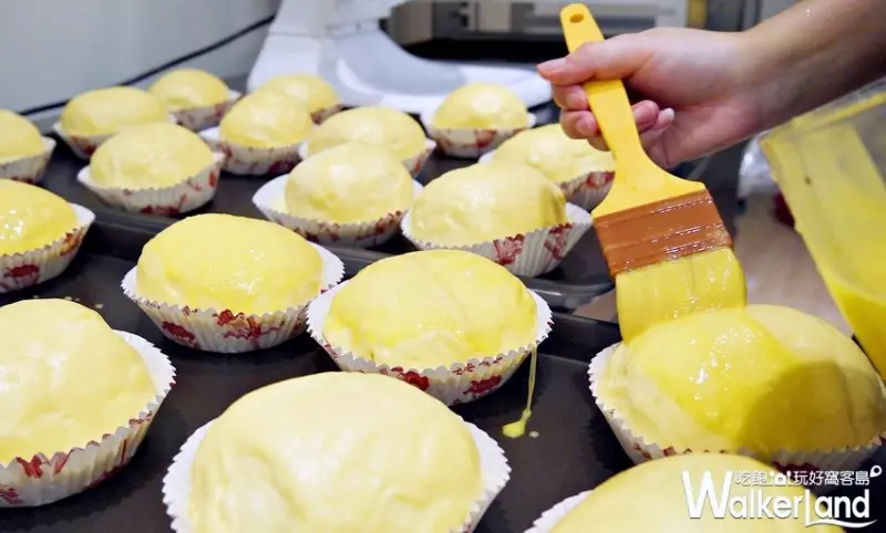 Greedy Beagle 貪吃狗 / WalkerLand窩客島提供 未經許可，不得轉載