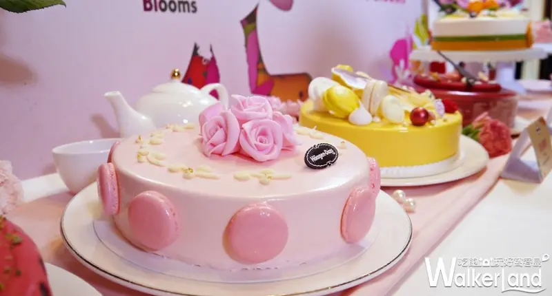 Häagen-Dazs哈根達斯 母親節限定蛋糕