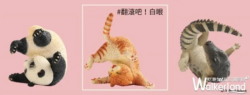 動物也瘋狂 朝隈俊男のAnimal Life / WalkerLand窩客島整理提供 未經許可，不得轉載