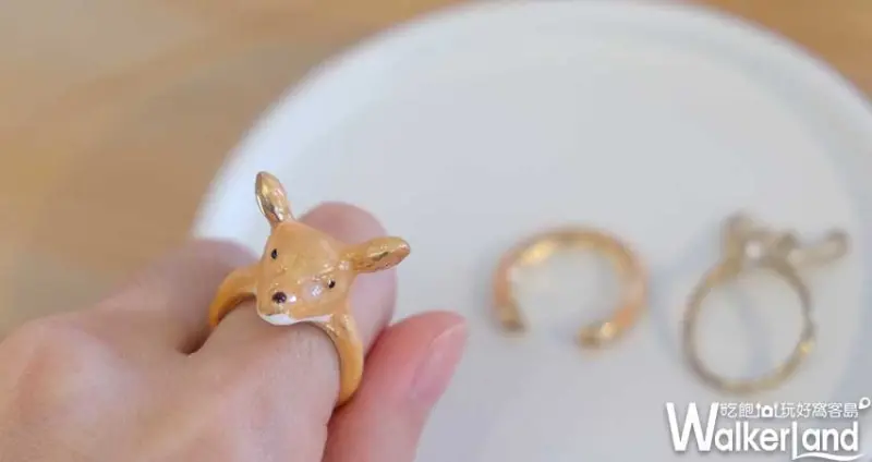 宜蘭梅花鹿園「斑比山丘」/ WalkerLand窩客島整理提供 未經許可不可轉載