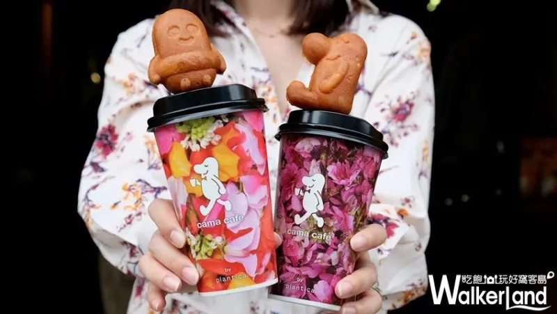  cama café 花杯/ WalkerLand窩客島整理提供 未經許可不可轉載