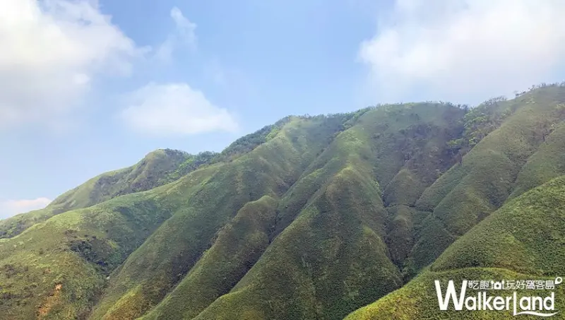 抹茶冰淇淋山 / WalkerLand窩客島整理提供 未經許可，不得轉載