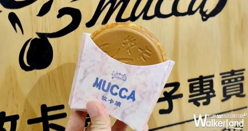 新竹巨城 / WalkerLand窩客島提供