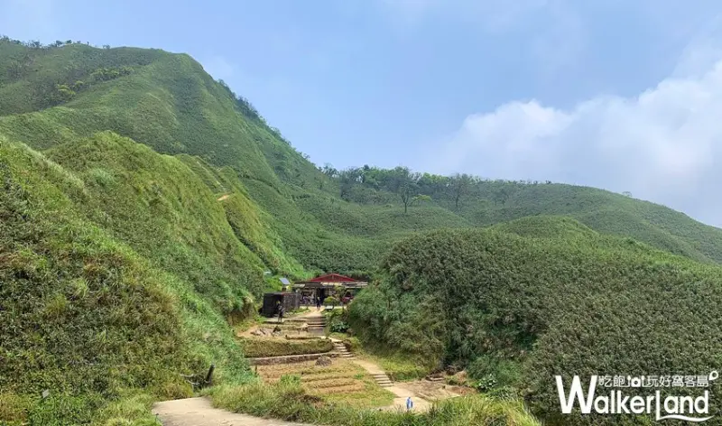 抹茶冰淇淋山 / WalkerLand窩客島整理提供 未經許可，不得轉載