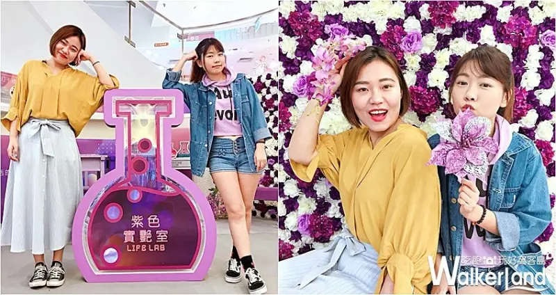 紫色實艷室 LIFE LAB / WalkerLand窩客島整理提供 未經許可，不得轉載