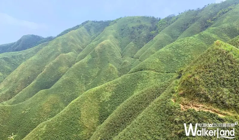 抹茶冰淇淋山 / WalkerLand窩客島整理提供 未經許可，不得轉載