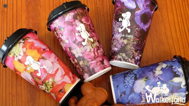  cama café 花杯/ WalkerLand窩客島整理提供 未經許可不可轉載