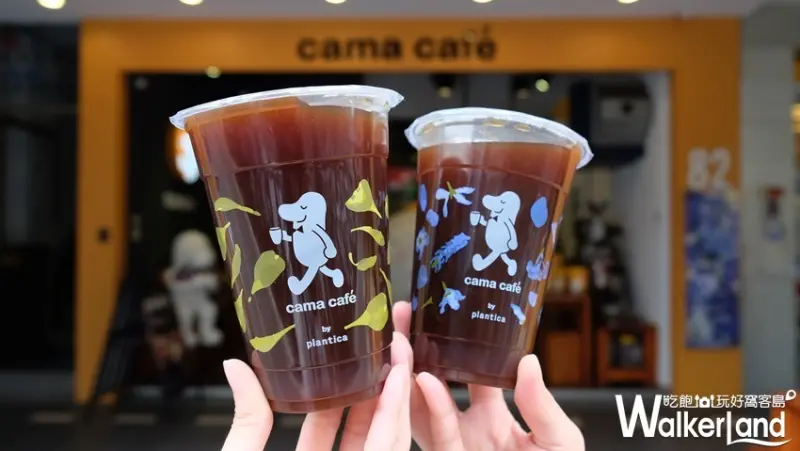 cama café 花杯/ WalkerLand窩客島整理提供 未經許可不可轉載