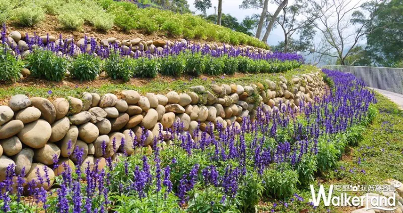 薰衣草森林 / WalkerLand窩客島提供 未經許可，不得轉載