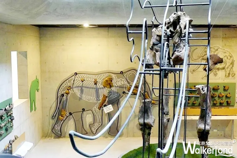 台南左鎮化石園區 / WalkerLand窩客島整理提供 未經許可，不得轉載