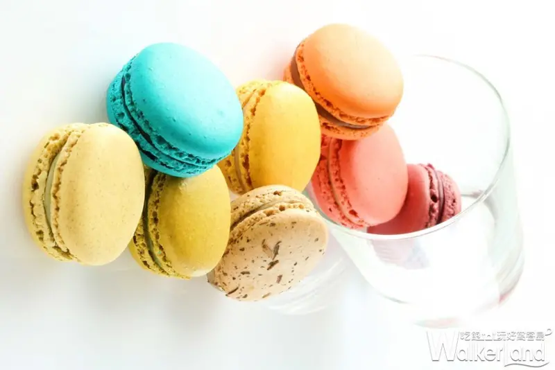 青木定治母親節蛋糕 / WalkerLand窩客島整理提供 未經許可，不得轉載