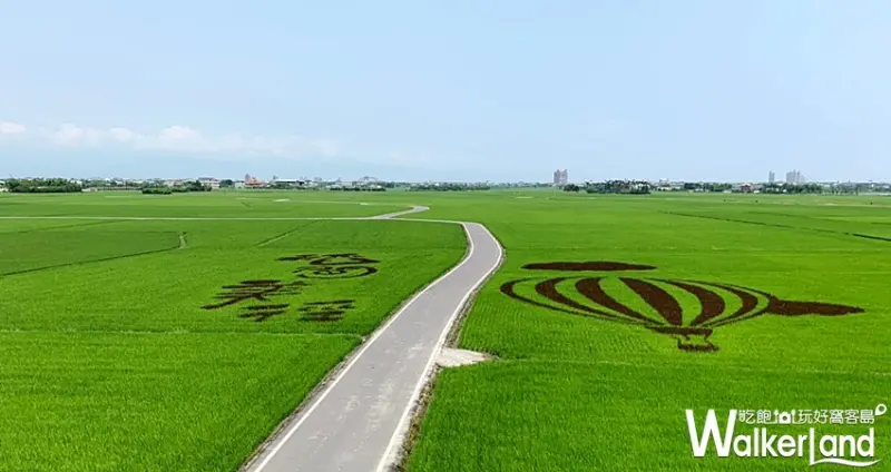 宜蘭版伯朗大道 / WalkerLand窩客島整理提供 未經許可不可轉載