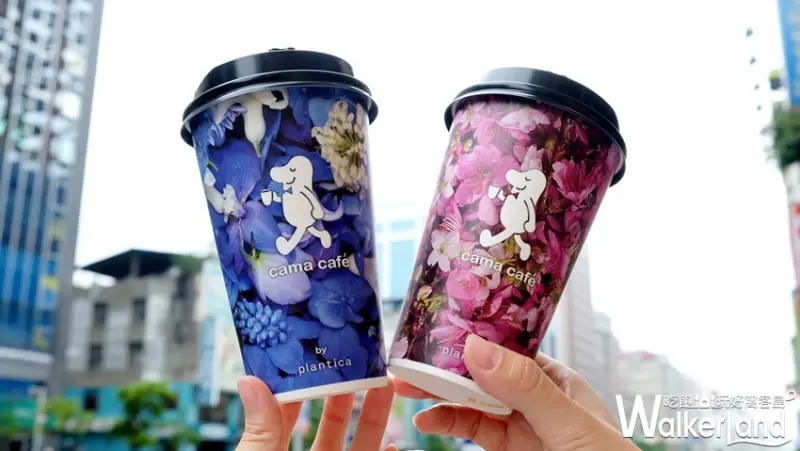  cama café 花杯/ WalkerLand窩客島整理提供 未經許可不可轉載