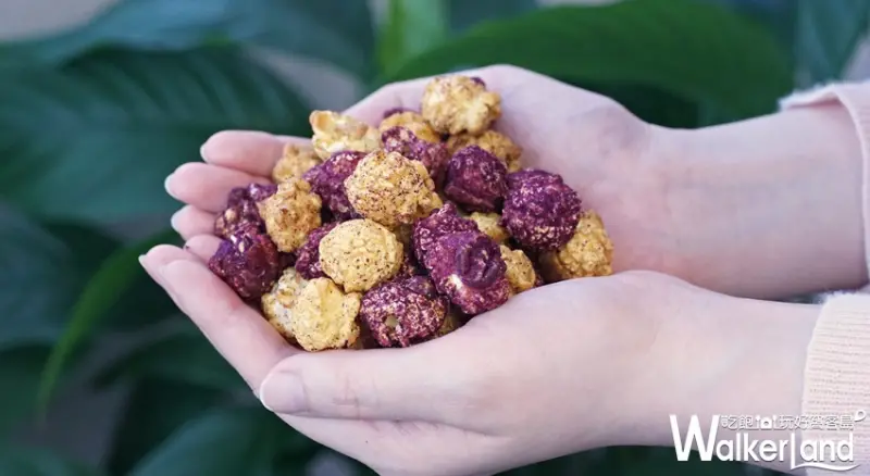 星球工坊 / WalkerLand窩客島提供 未經許可，不得轉載