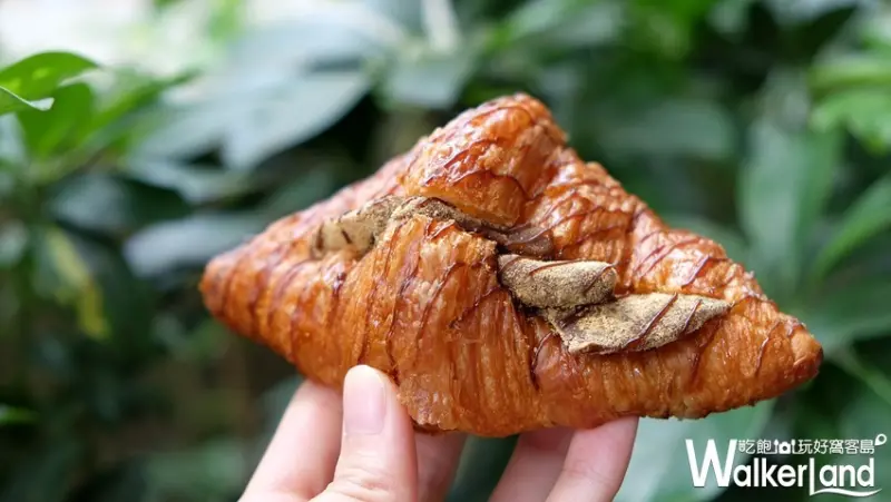 八月堂可頌板橋快閃店 / WalkerLand窩客島整理提供 未經許可不可轉載