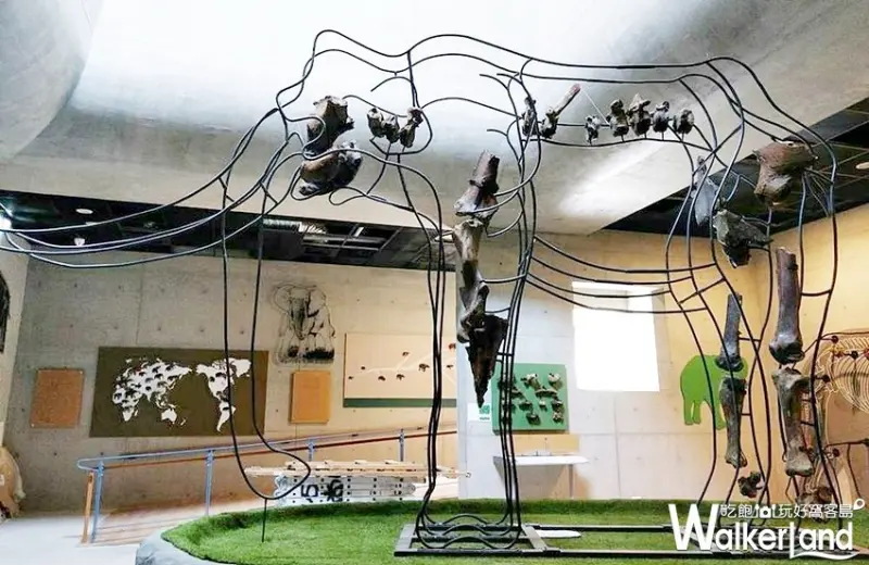 台南左鎮化石園區 / WalkerLand窩客島整理提供 未經許可，不得轉載