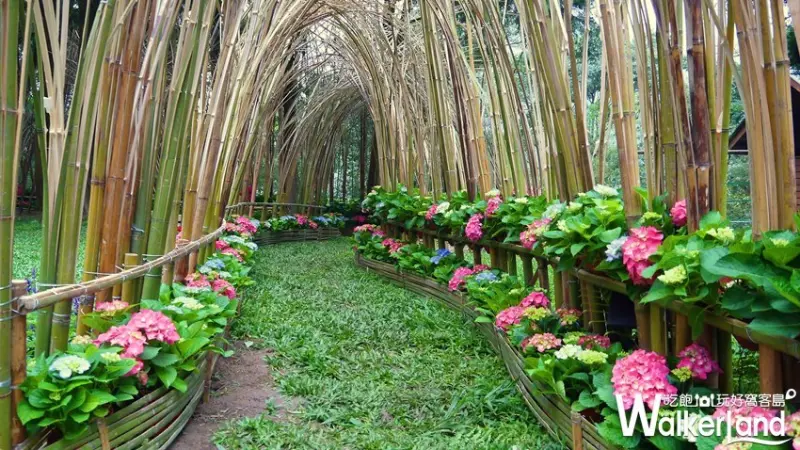 薰衣草森林 / WalkerLand窩客島提供 未經許可，不得轉載