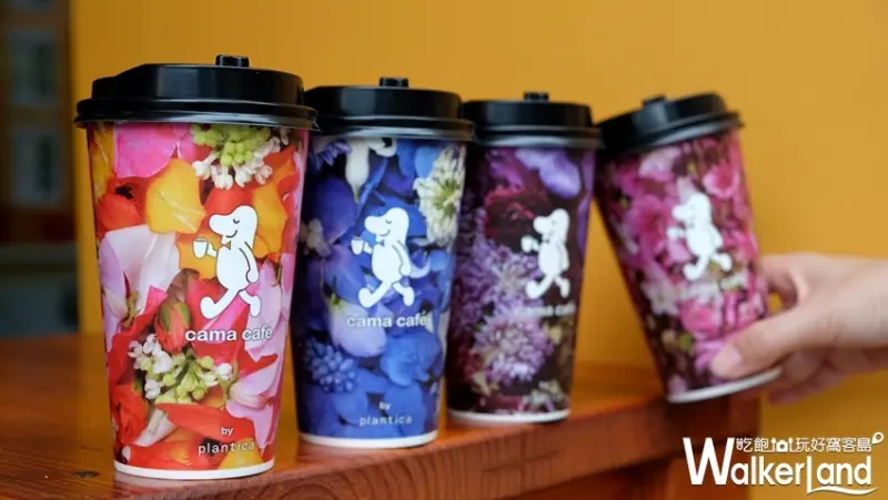  cama café 花杯/ WalkerLand窩客島整理提供 未經許可不可轉載
