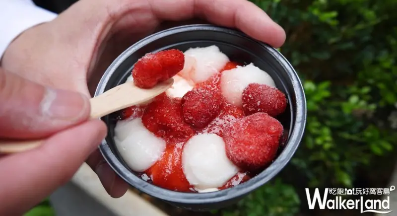 井村屋 麻糬冰淇淋 / WalkerLand窩客島提供 未經許可，不得轉載