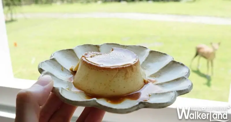 宜蘭梅花鹿園「斑比山丘」/ WalkerLand窩客島整理提供 未經許可不可轉載