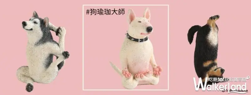 動物也瘋狂 朝隈俊男のAnimal Life / WalkerLand窩客島整理提供 未經許可，不得轉載