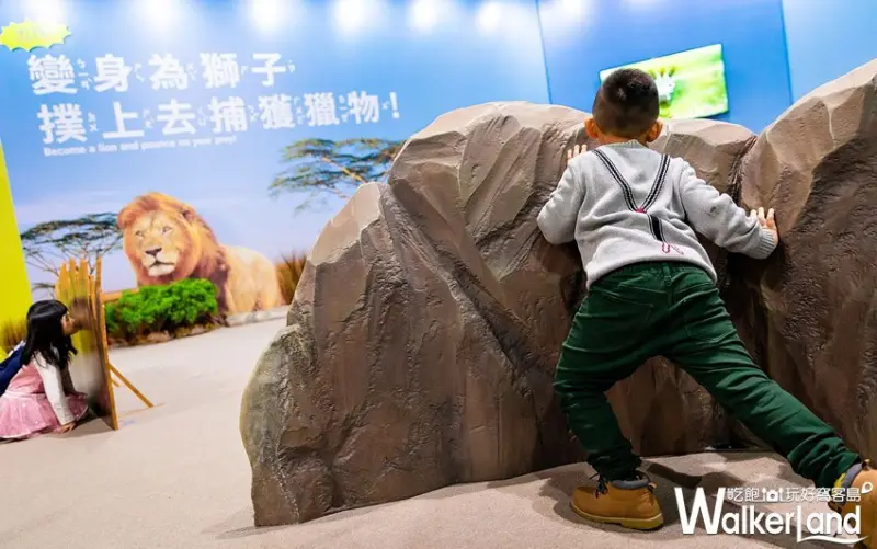 變變變！MOVE生物體驗展 / WalkerLand窩客島整理提供 未經許可，不得轉載