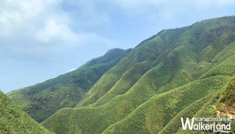 抹茶冰淇淋山 / WalkerLand窩客島整理提供 未經許可，不得轉載