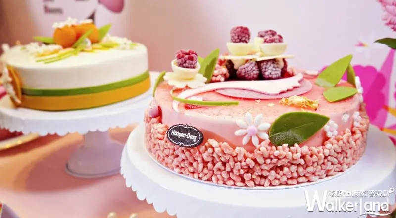 Häagen-Dazs哈根達斯 母親節限定蛋糕
