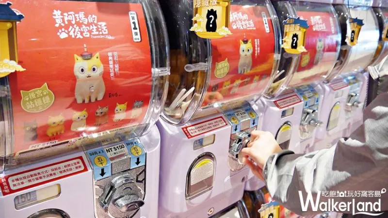 黃阿瑪的後宮生活扭蛋展 高雄場 / WalkerLand窩客島提供 未經許可，不得轉載