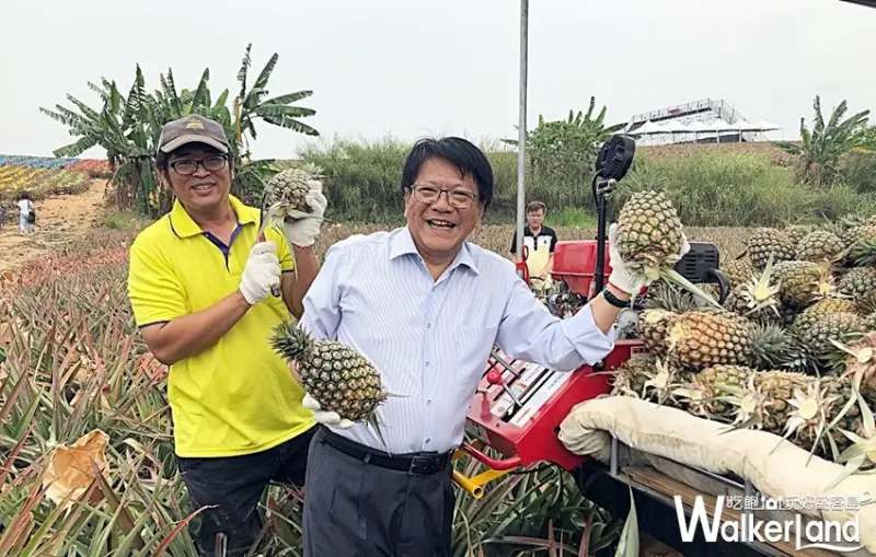 2019繽紛彩旺節 / WalkerLand窩客島整理提供 未經許可,不得轉載