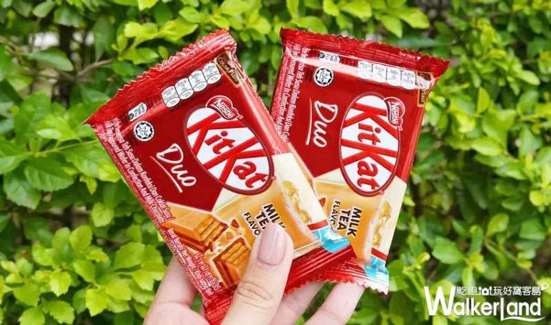 KitKat奶茶巧克力 / WalkerLand窩客島提供 未經許可，不得轉載